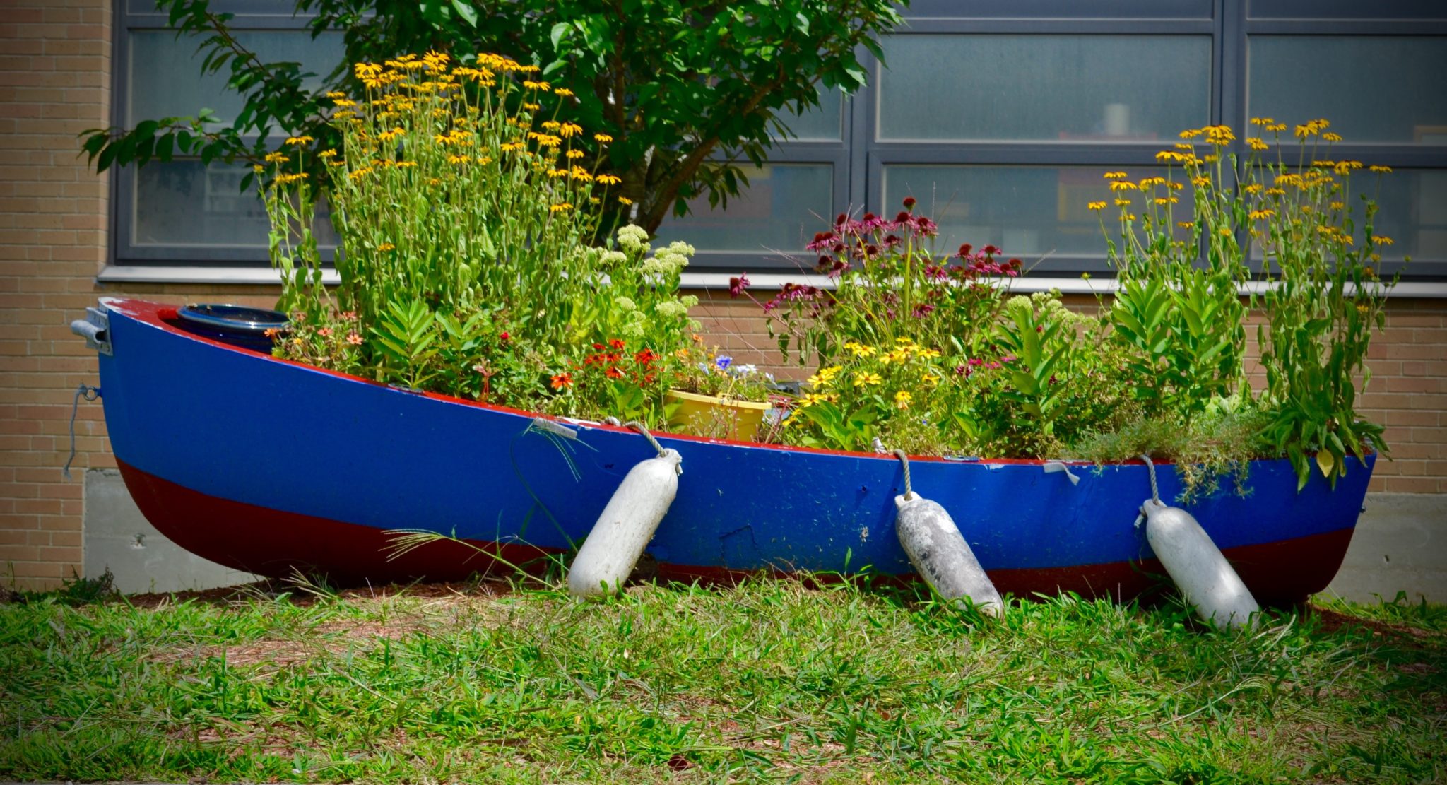 SMS boat out front of school with plants inside